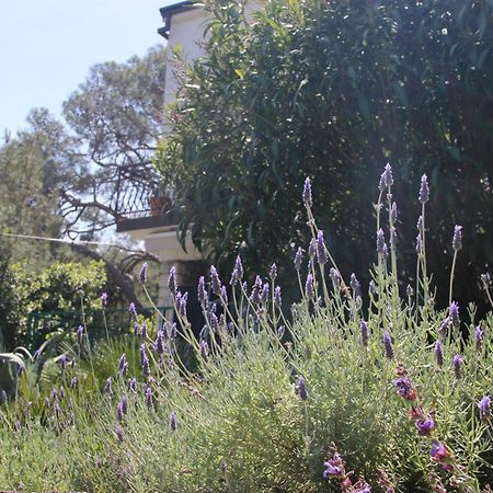 Cappelli Apartments - Losinj มาลีโลชินจ์ ภายนอก รูปภาพ